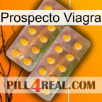 Prospecto Viagra new10